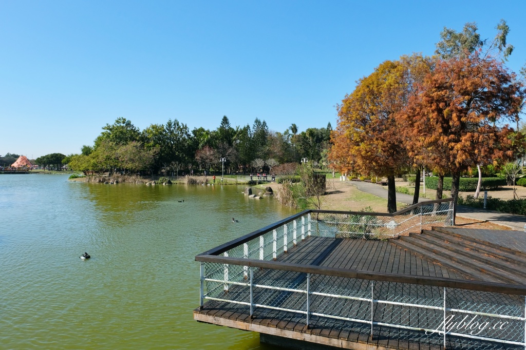 彰化溪州｜溪州公園，2024花在彰化．彰化百寶城登場 @飛天璇的口袋