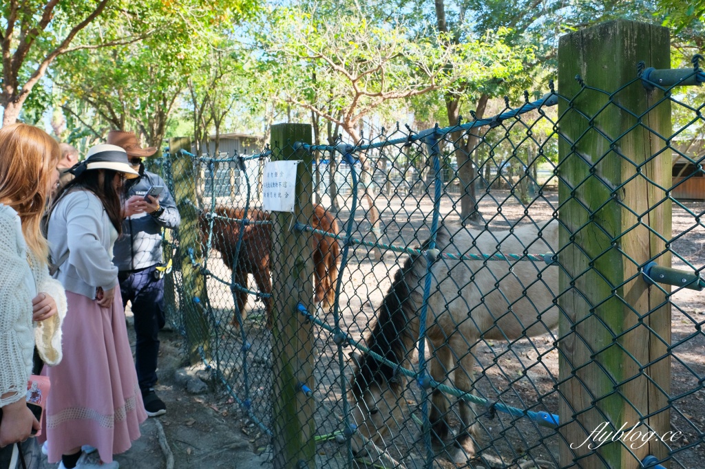 彰化溪州｜溪州公園，2024花在彰化．彰化百寶城登場 @飛天璇的口袋