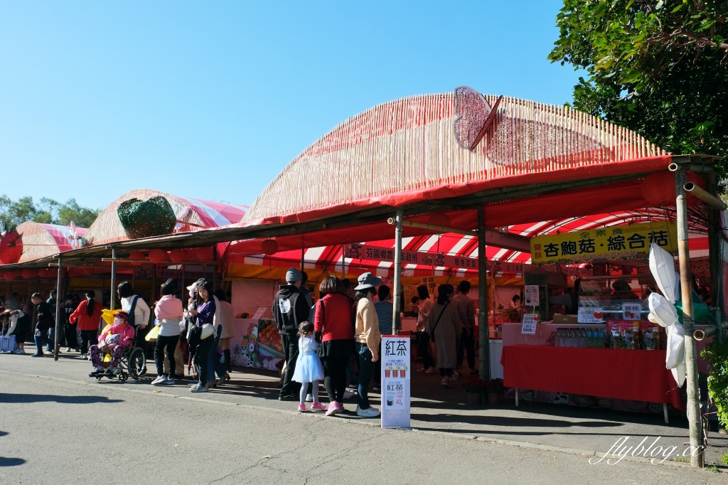 彰化溪州｜溪州公園，2024花在彰化．彰化百寶城登場 @飛天璇的口袋