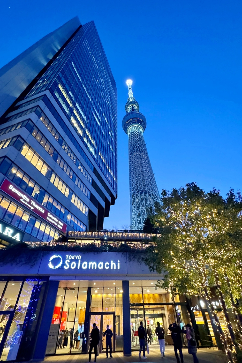 日本東京｜敘敘苑晴空塔店．坐擁30樓東京美景，訂位方式商業午餐一次看 @飛天璇的口袋