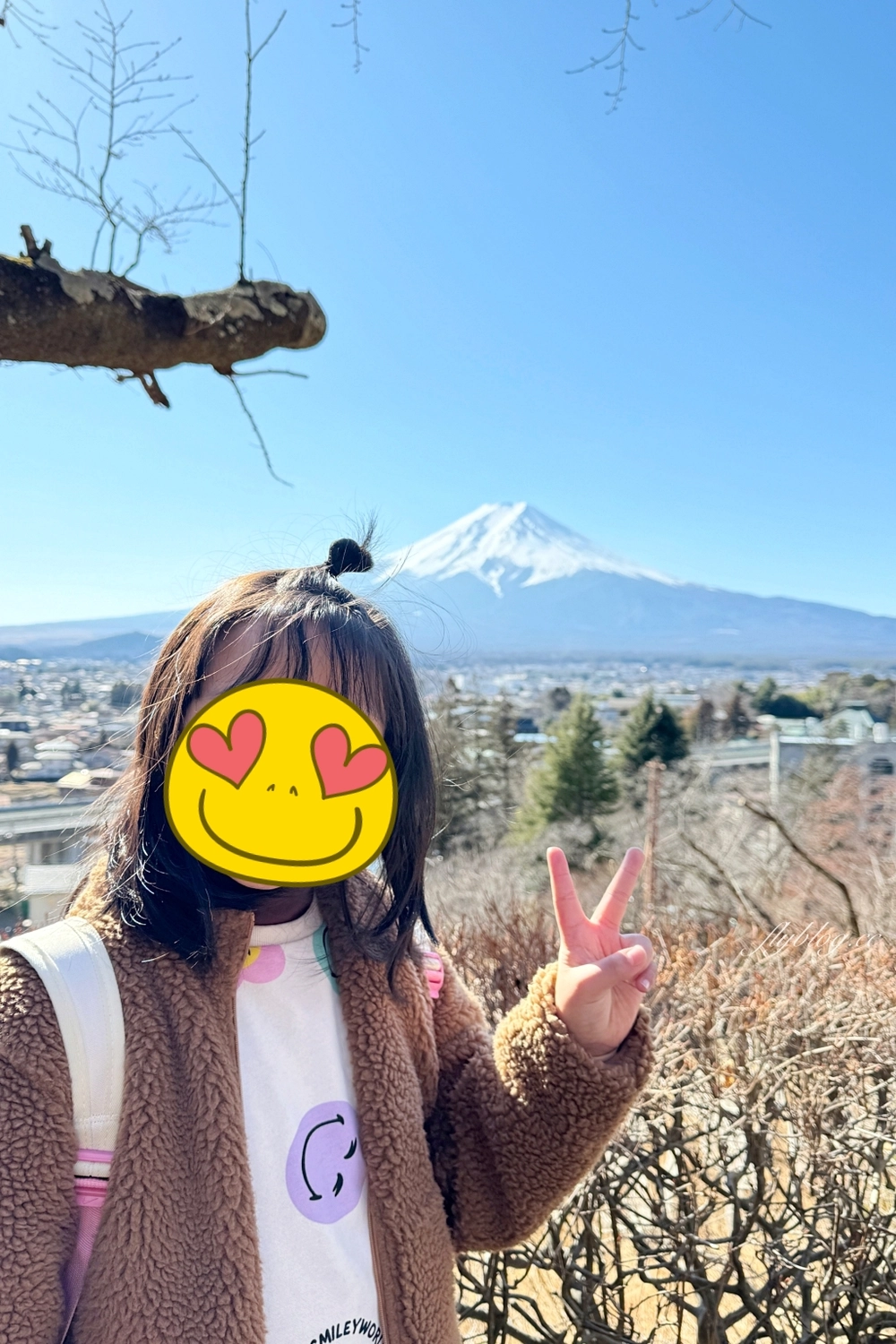 日本山梨｜富士山一日遊．富士山+河口湖天上山公園纜車+忍野八海+淺間公園 (KKday東京出發) @飛天璇的口袋