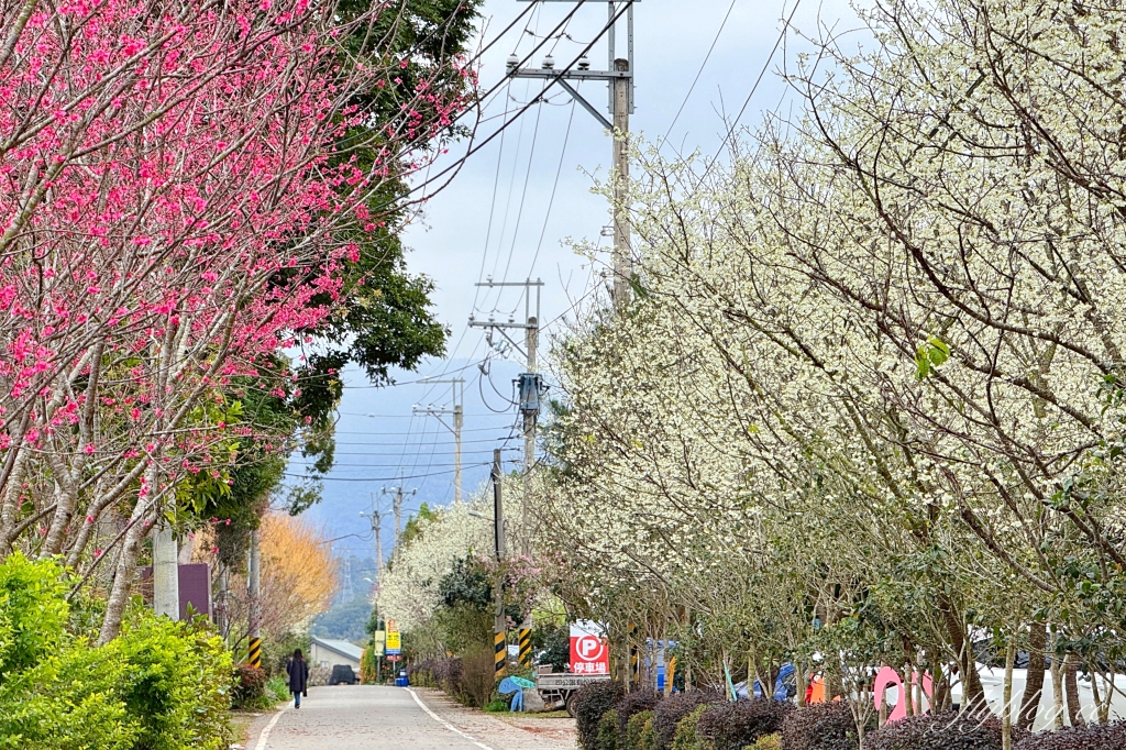 苗栗卓蘭｜厚食餐廳．橘子倉庫改建而成，預約制小農好食料理 @飛天璇的口袋