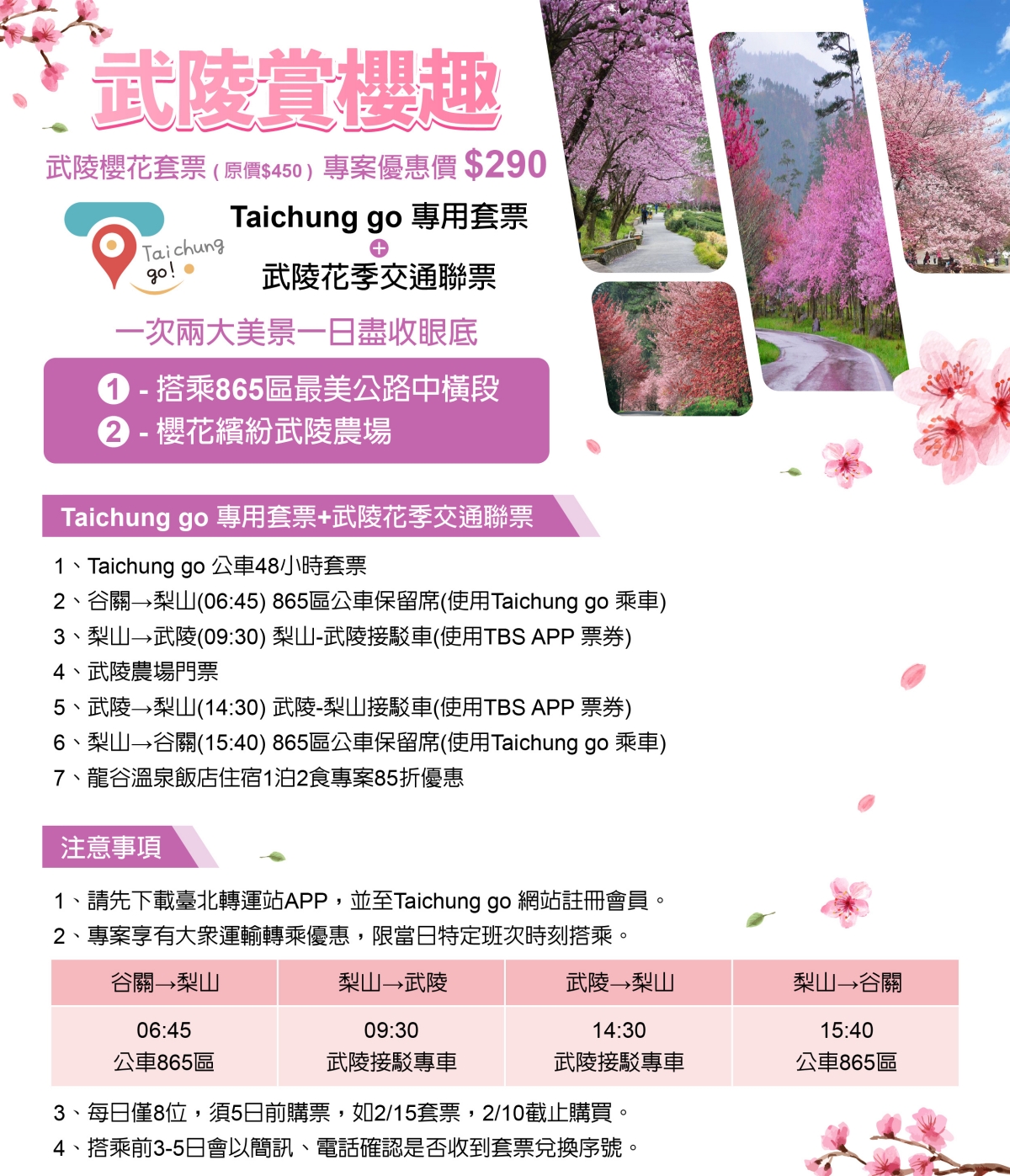 台中和平｜2025武陵農場櫻花季．2/8~3/2登場，交通方式和最新花況一次看 @飛天璇的口袋