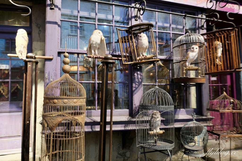 日本東京｜東京哈利波特影城．一日遊攻略，交通方式、門票購買、必吃美食、必拍景點 @飛天璇的口袋