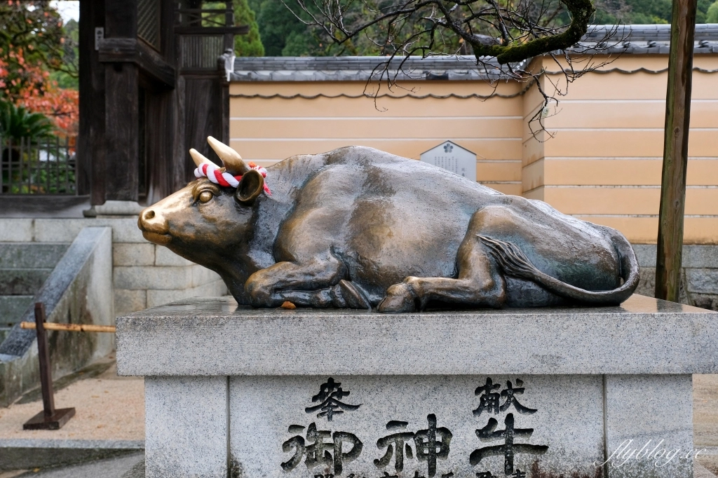 【九州自由行】北九州8天7夜自駕行程．福岡租車、九州景點、行程規劃 @飛天璇的口袋