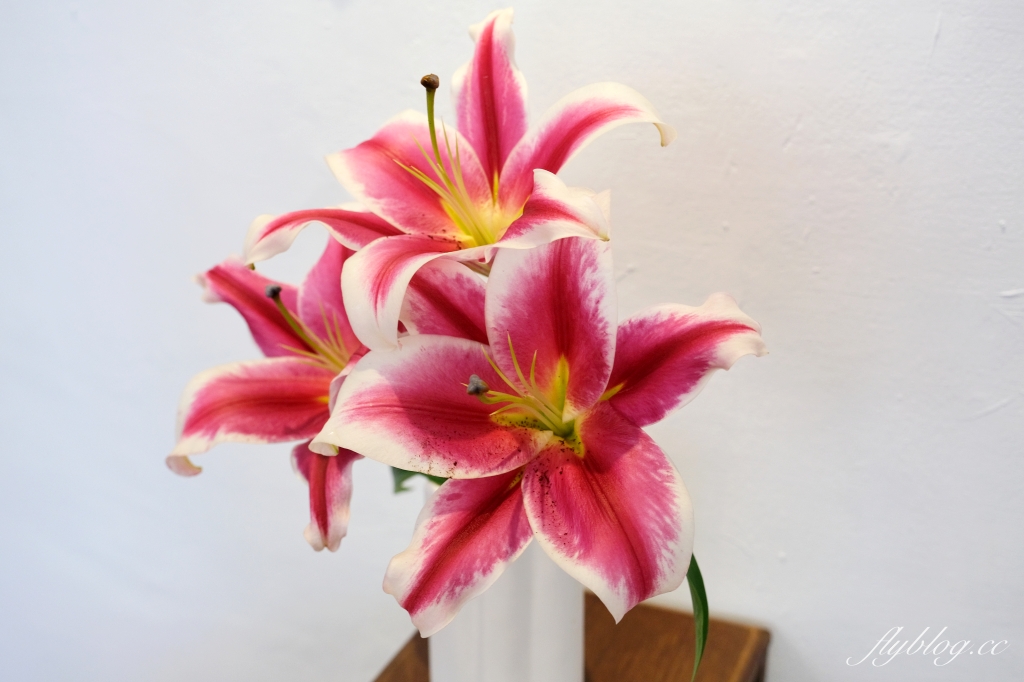 南投草屯｜映古子咖啡．位於隱密的巷弄裡，草屯老宅甜點咖啡 @飛天璇的口袋