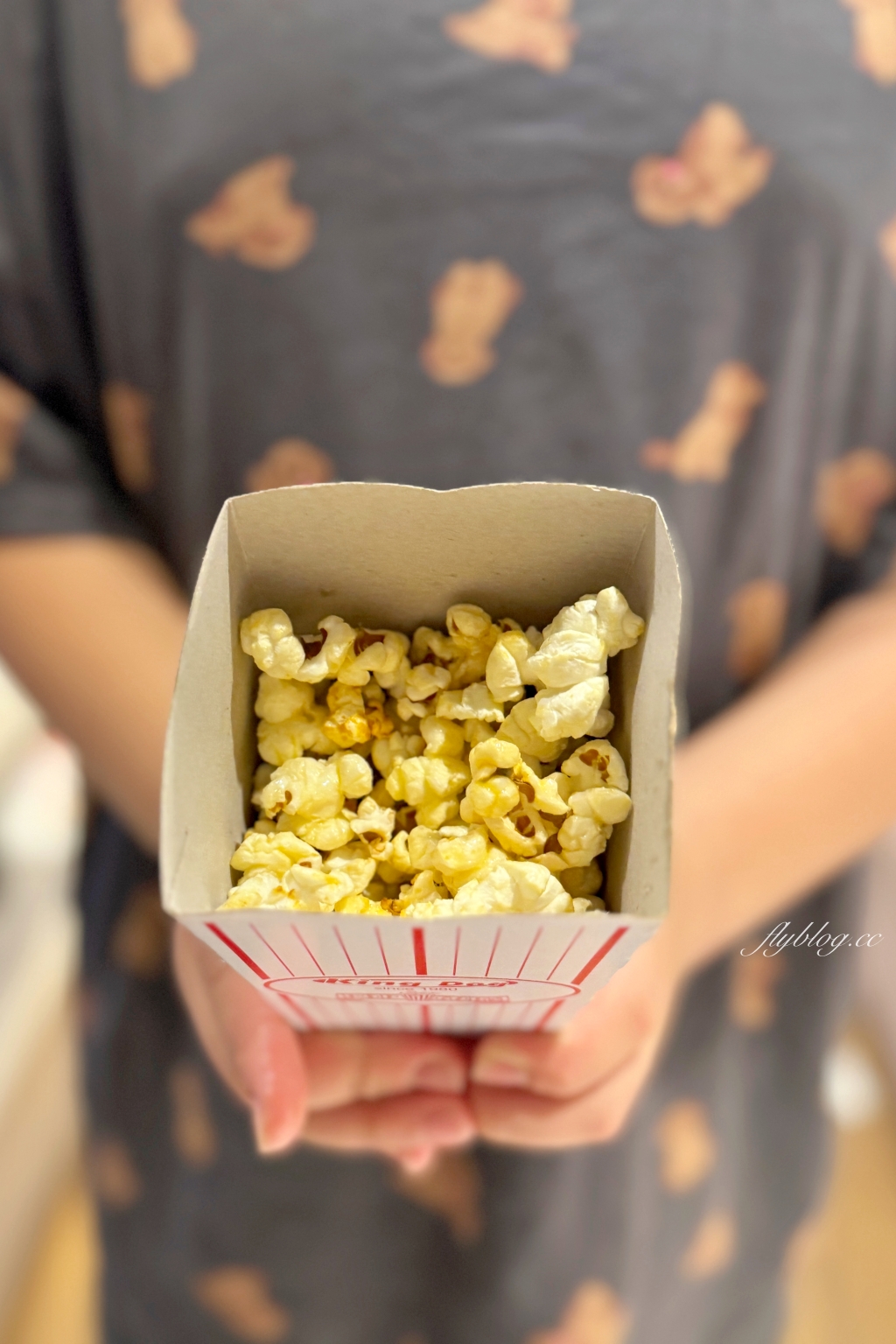 嘉義中埔｜詩情花園渡假村．阿里山下的露營車體驗，晚上還有煙火、放天燈和魔術秀 @飛天璇的口袋