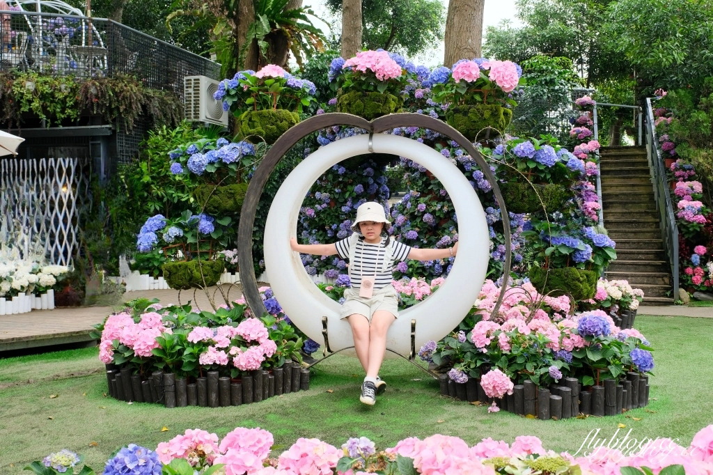 苗栗卓蘭｜花露休閒農場．4~6月繡球花季，全台唯一繡球花小火車，夢幻繡球花冰淇淋 @飛天璇的口袋