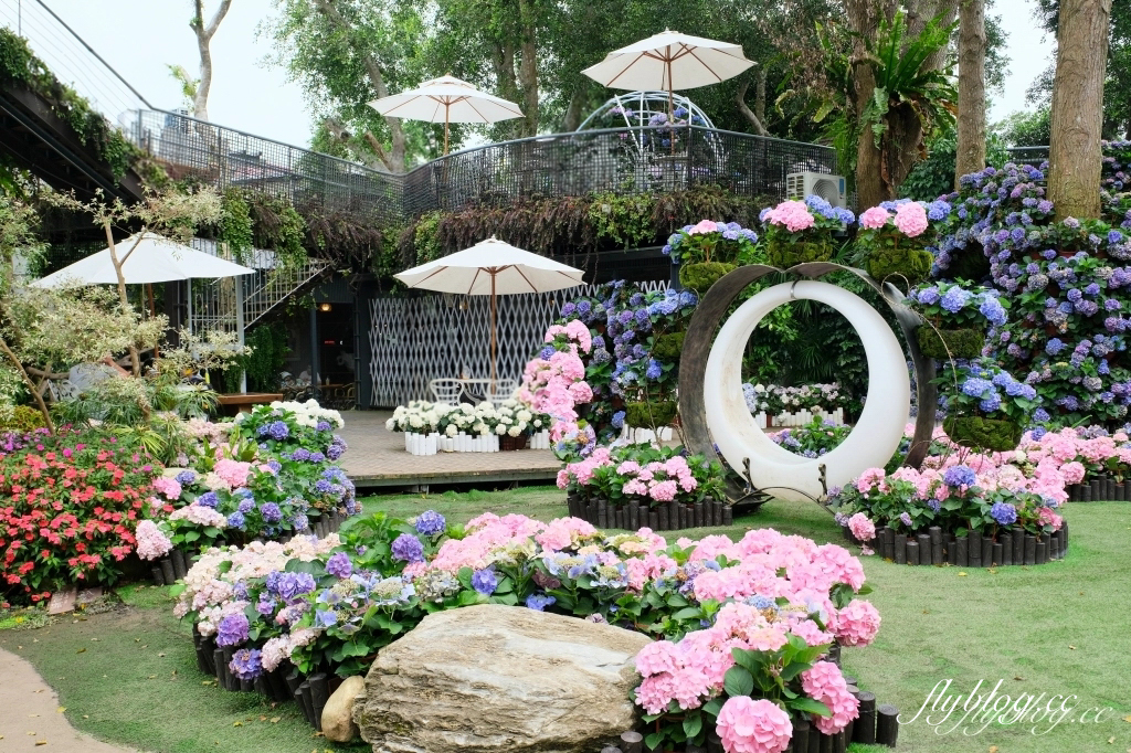 苗栗卓蘭｜花露休閒農場．4~6月繡球花季，全台唯一繡球花小火車，夢幻繡球花冰淇淋 @飛天璇的口袋