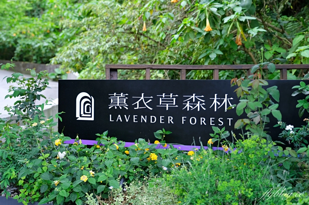 台中新社｜薰衣草森林．森林裡的午餐享饗，香草親密體驗一日遊 @飛天璇的口袋