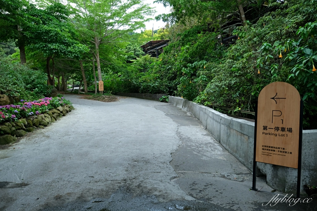 台中新社｜薰衣草森林．隱藏森林裡的奢華露營車，尋找可愛的阿尼斯特 @飛天璇的口袋