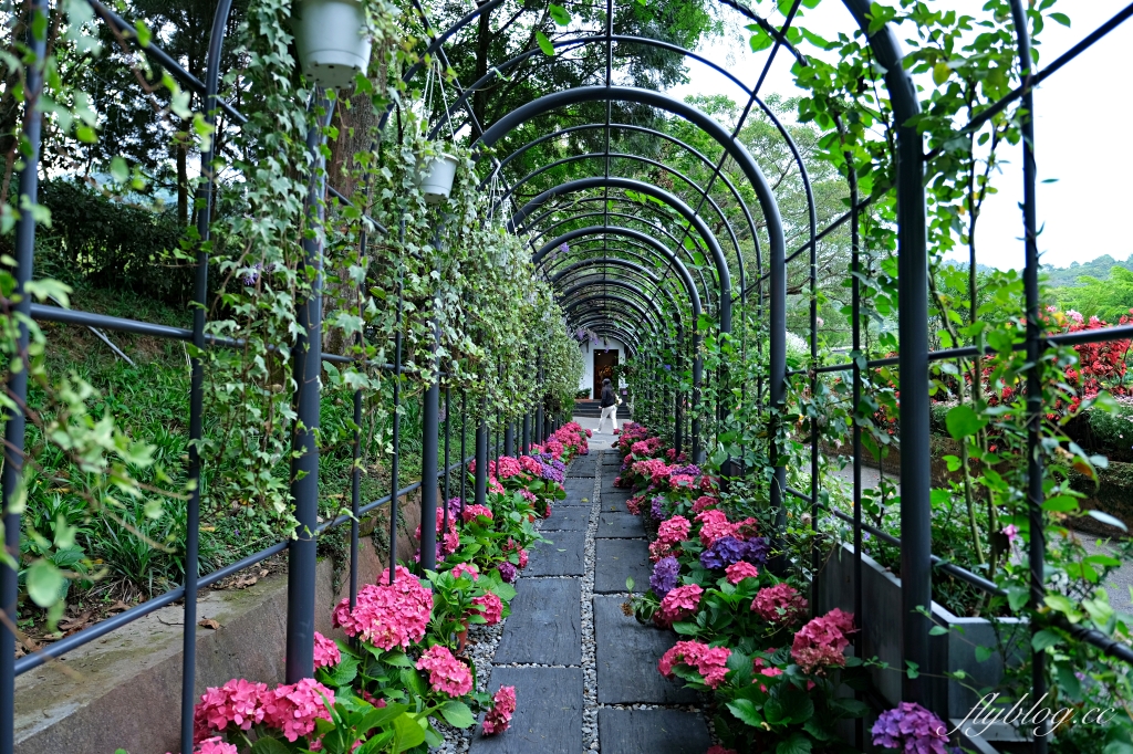 台中新社｜薰衣草森林．森林裡的午餐享饗，香草親密體驗一日遊 @飛天璇的口袋