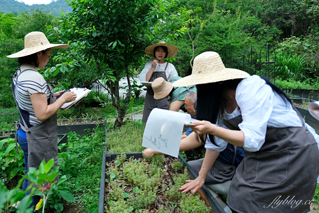 台中新社｜薰衣草森林．森林裡的午餐享饗，香草親密體驗一日遊 @飛天璇的口袋