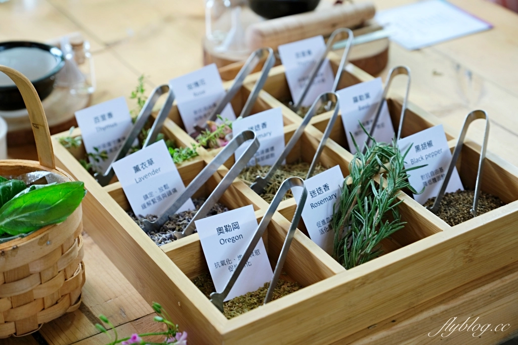 台中新社｜薰衣草森林．森林裡的午餐享饗，香草親密體驗一日遊 @飛天璇的口袋