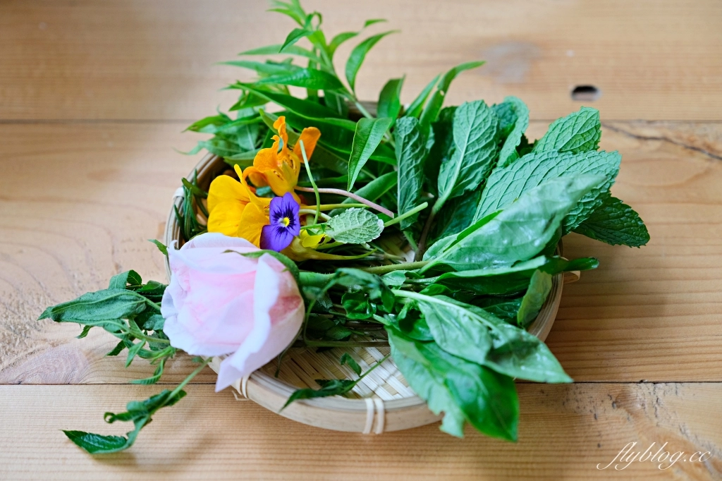 台中新社｜薰衣草森林．森林裡的午餐享饗，香草親密體驗一日遊 @飛天璇的口袋