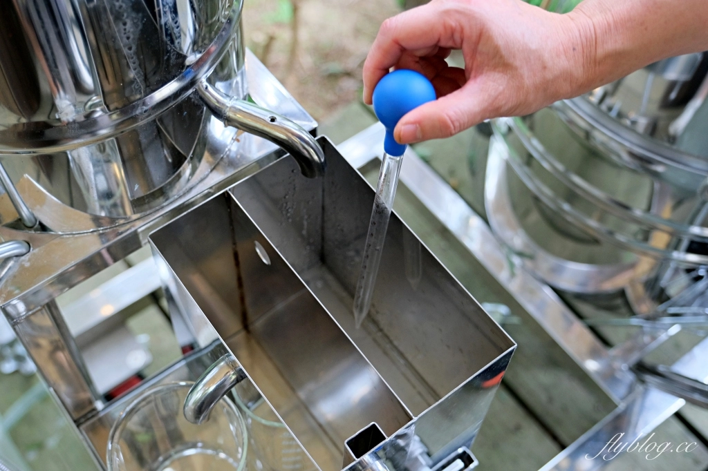 台中新社｜薰衣草森林．森林裡的午餐享饗，香草親密體驗一日遊 @飛天璇的口袋