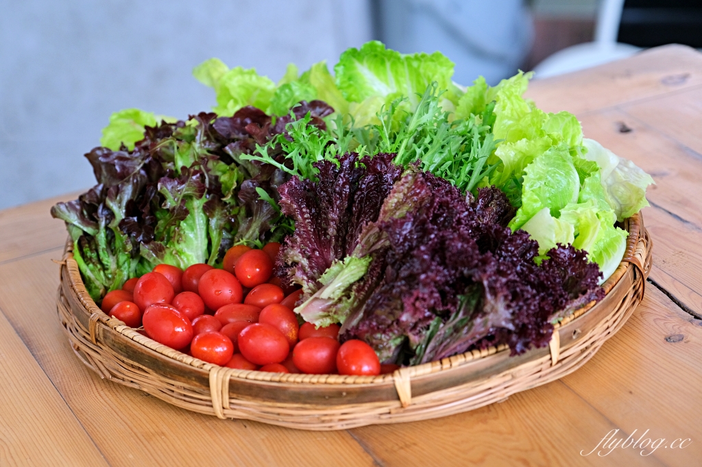 台中新社｜薰衣草森林．森林裡的午餐享饗，香草親密體驗一日遊 @飛天璇的口袋