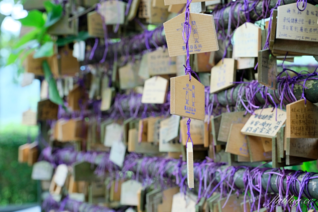 台中新社｜薰衣草森林．森林裡的午餐享饗，香草親密體驗一日遊 @飛天璇的口袋