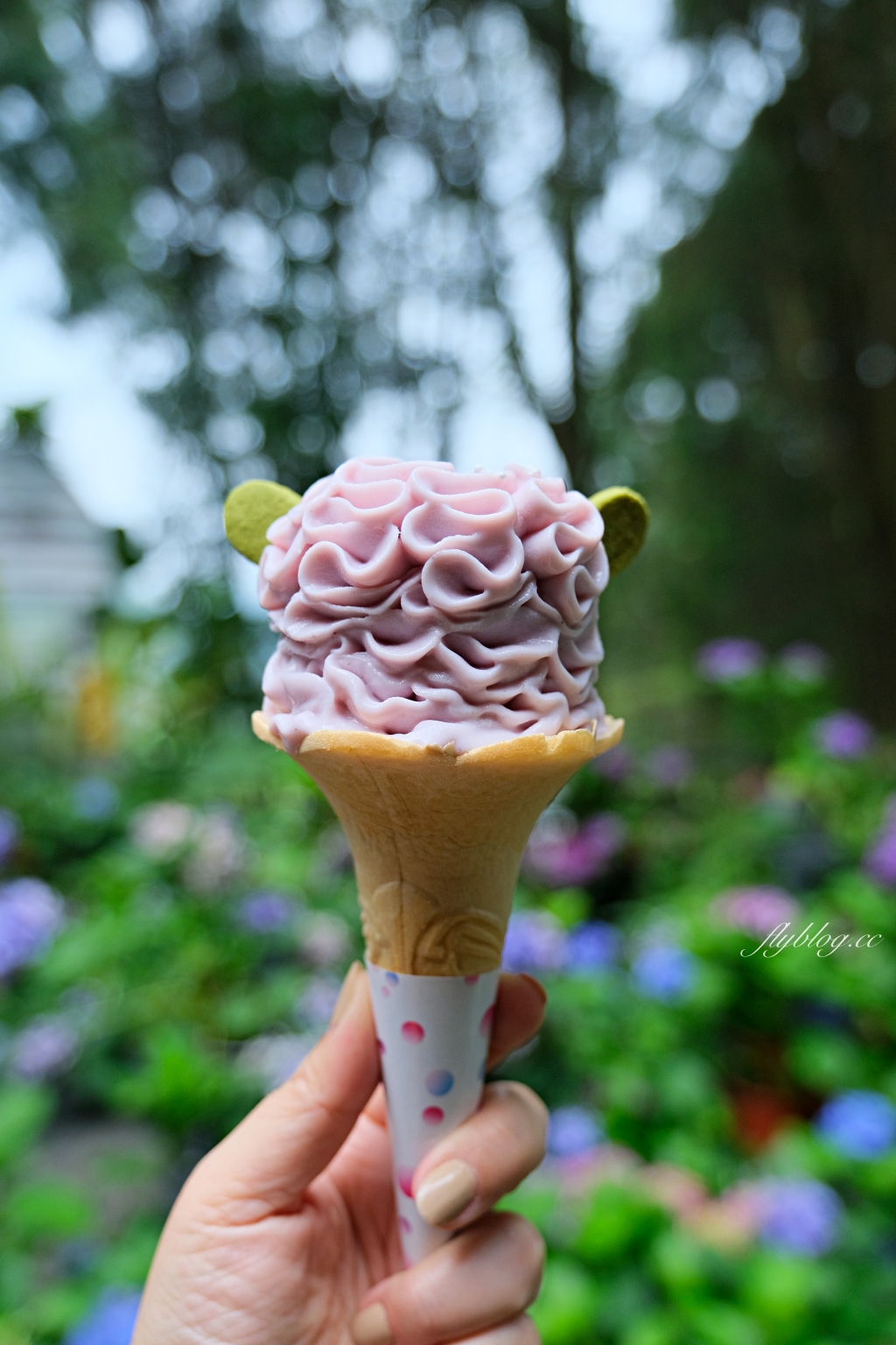 台中新社｜薰衣草森林．森林裡的午餐享饗，香草親密體驗一日遊 @飛天璇的口袋