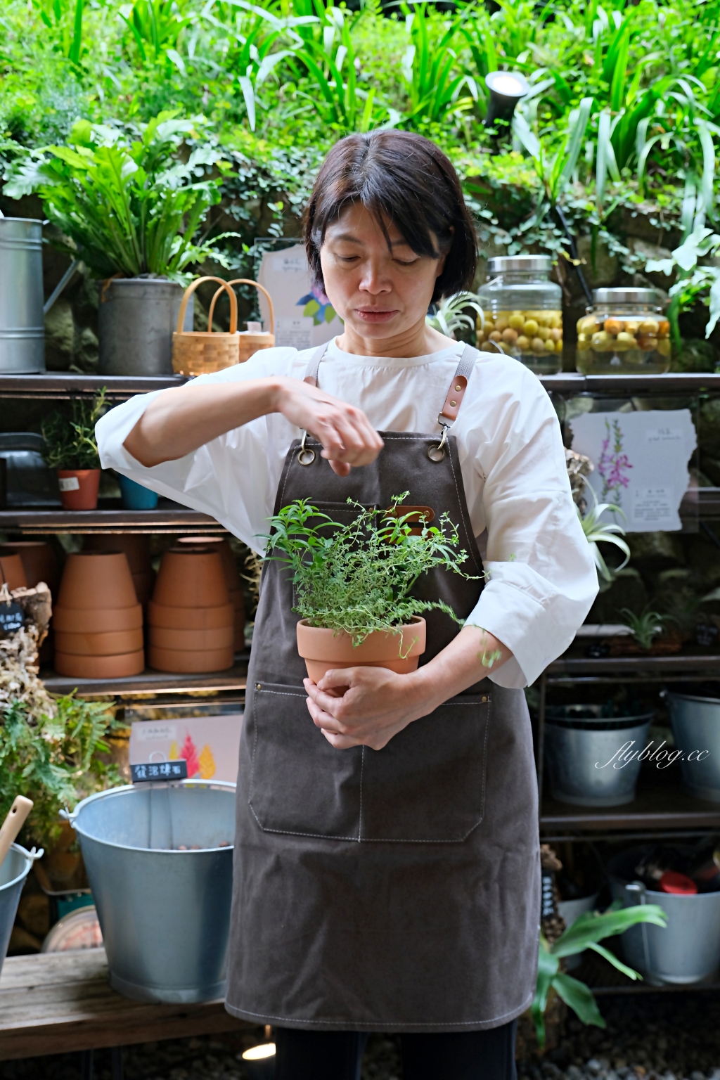 台中新社｜薰衣草森林．森林裡的午餐享饗，香草親密體驗一日遊 @飛天璇的口袋