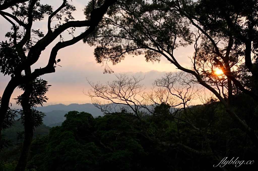 台中新社｜飛花落院．日式侘寂風建築，米其林指南推薦，台中最美無菜單料理餐廳 @飛天璇的口袋