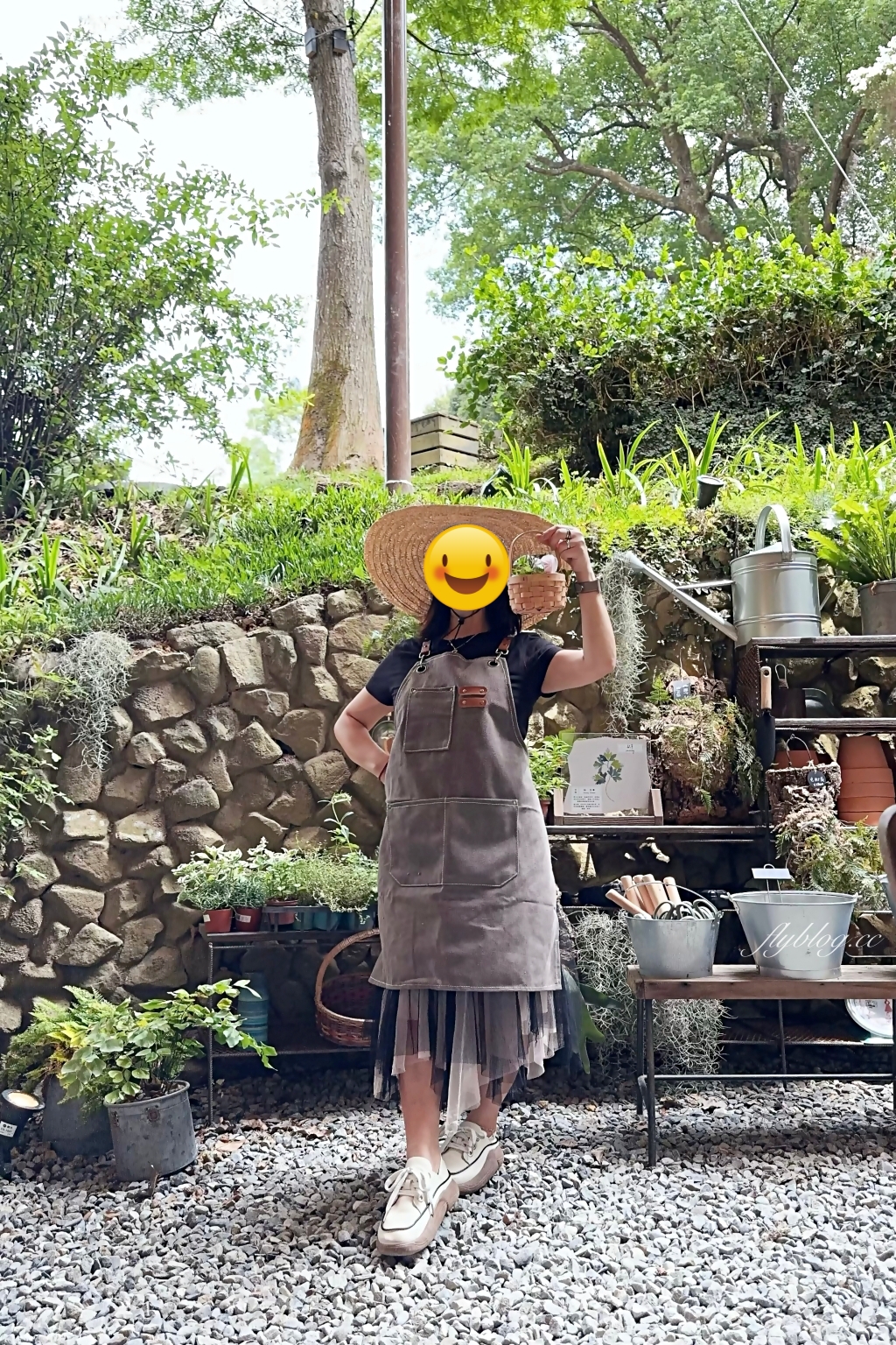 台中新社｜薰衣草森林．森林裡的午餐享饗，香草親密體驗一日遊 @飛天璇的口袋