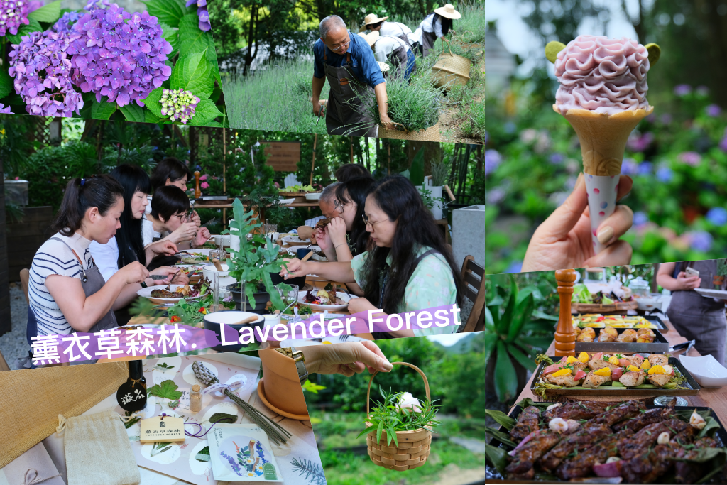 台中新社｜薰衣草森林．森林裡的午餐享饗，香草親密體驗一日遊 @飛天璇的口袋