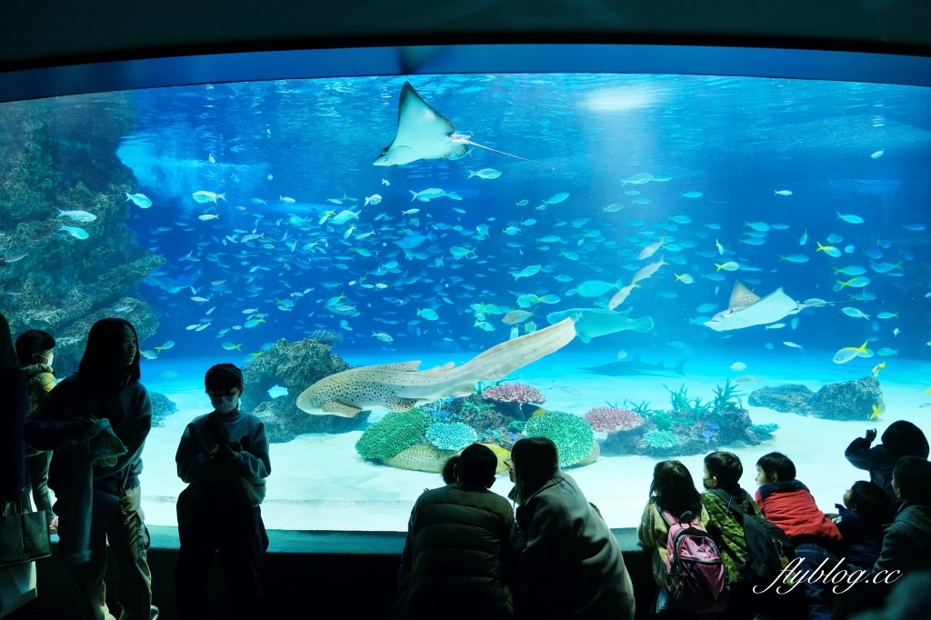 【東京自由行】新手指南！東京自由行5~10日行程怎麼規劃？東京美食、住宿、景點、交通總整理 @飛天璇的口袋