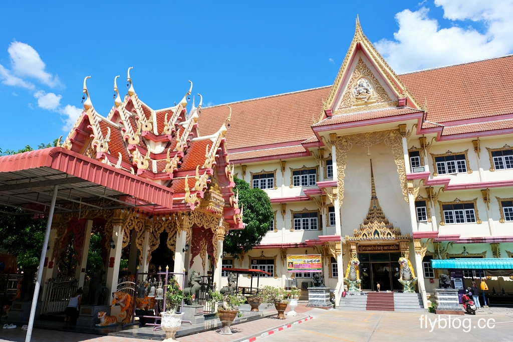泰國曼谷｜曼谷近郊一日遊．丹能莎多水上市場、美功火車市場、招財老虎廟龍波本寺廟、馬爾地夫餐廳Bubble in the forest(KKday一日遊) @飛天璇的口袋