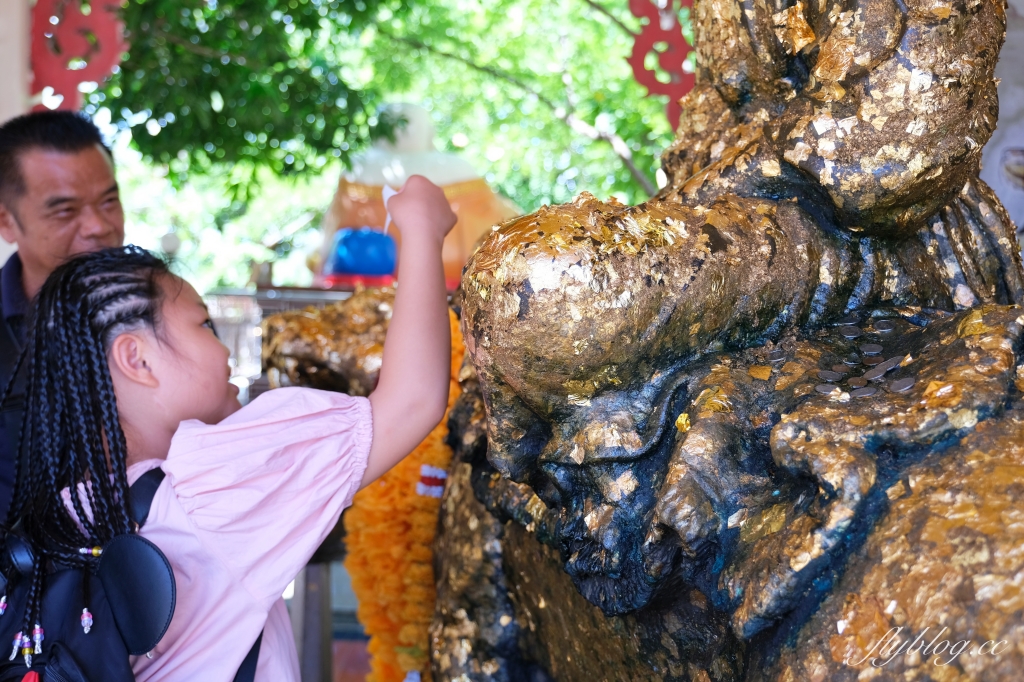 泰國曼谷｜曼谷近郊一日遊．丹能莎多水上市場、美功火車市場、招財老虎廟龍波本寺廟、馬爾地夫餐廳Bubble in the forest(KKday一日遊) @飛天璇的口袋