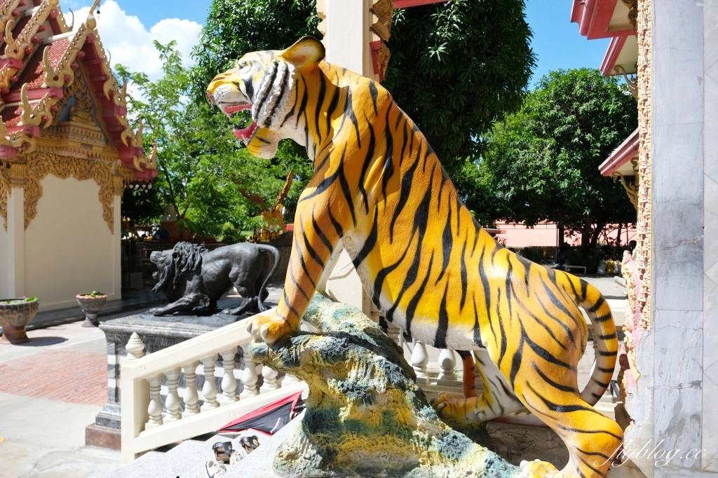 泰國曼谷｜曼谷近郊一日遊．丹能莎多水上市場、美功火車市場、招財老虎廟龍波本寺廟、馬爾地夫餐廳Bubble in the forest(KKday一日遊) @飛天璇的口袋