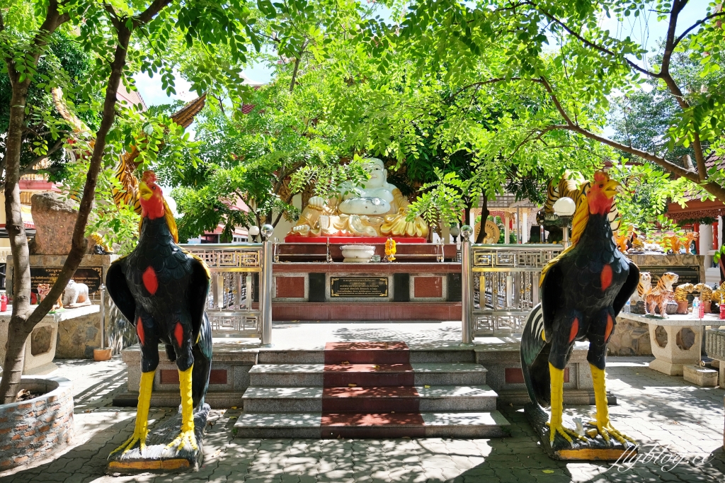 泰國曼谷｜曼谷近郊一日遊．丹能莎多水上市場、美功火車市場、招財老虎廟龍波本寺廟、馬爾地夫餐廳Bubble in the forest(KKday一日遊) @飛天璇的口袋