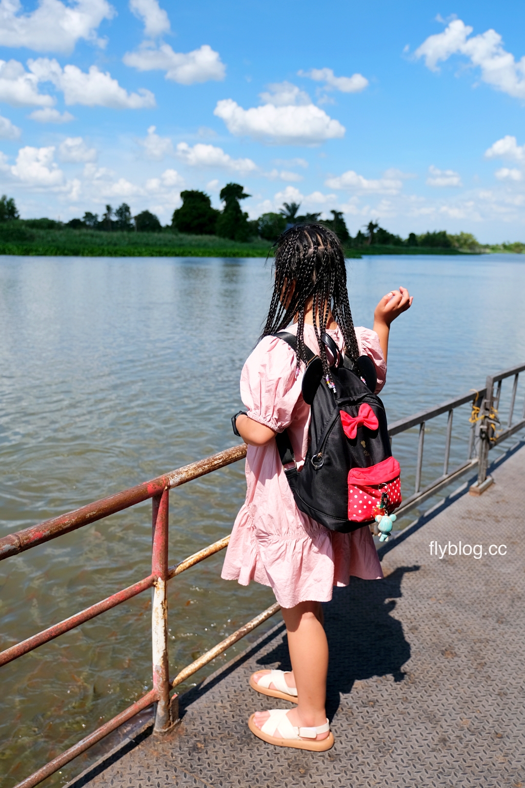 泰國曼谷｜曼谷近郊一日遊．丹能莎多水上市場、美功火車市場、招財老虎廟龍波本寺廟、馬爾地夫餐廳Bubble in the forest(KKday一日遊) @飛天璇的口袋