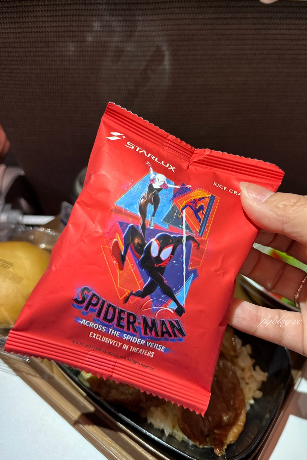 泰國曼谷｜星宇航空．JX745 台北-曼谷，空中巴士A321NEO機型，機上座位及飛機餐分享 @飛天璇的口袋