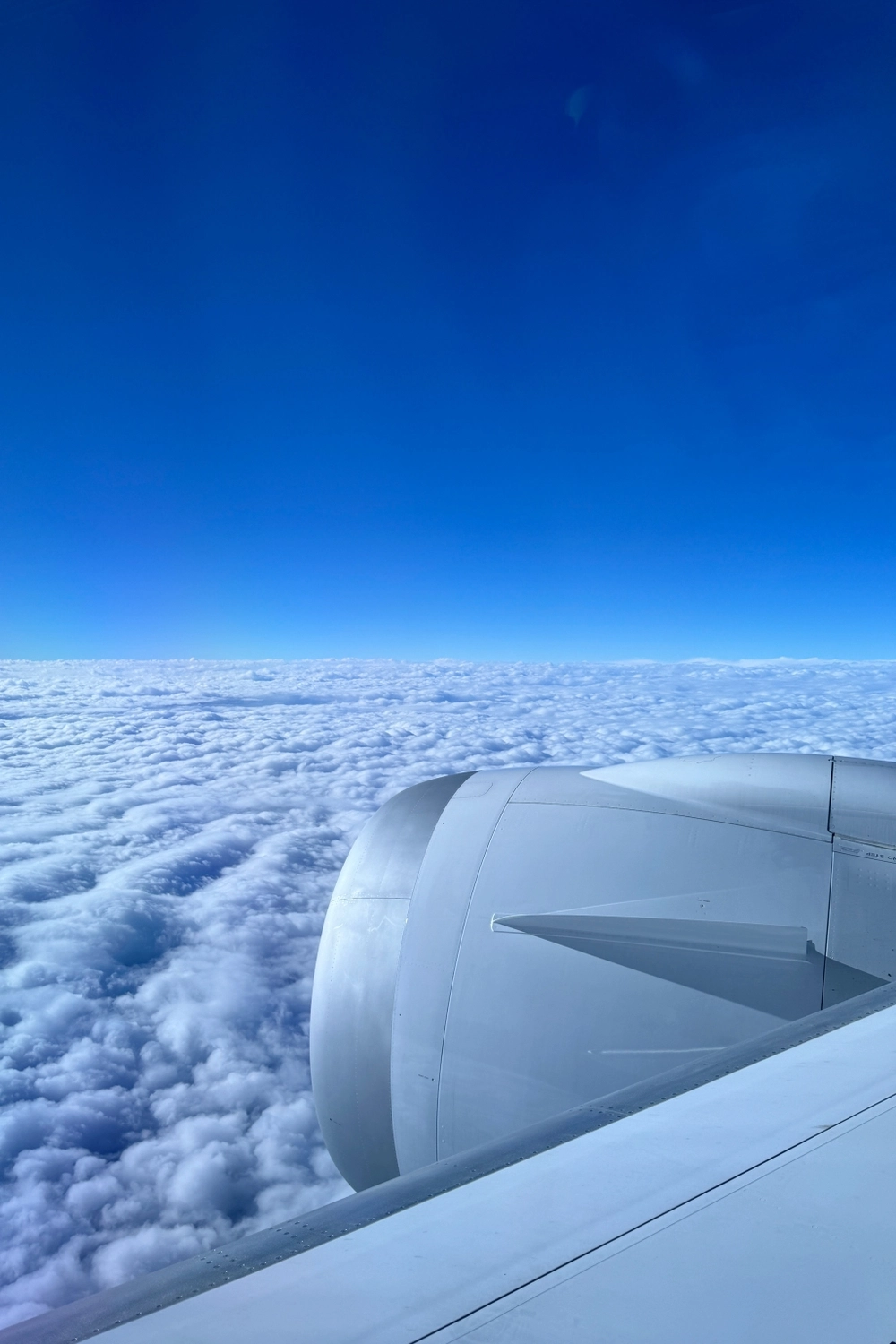 日本東京｜長榮航空BR196．台北&ndash;東京 波音787-10，機上座位及飛機餐分享 @飛天璇的口袋
