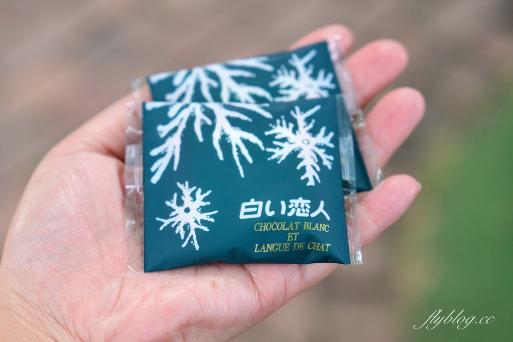 日本北海道｜白色戀人公園．札幌最熱門的觀光工廠，可以做心型戀人餅乾DIY @飛天璇的口袋