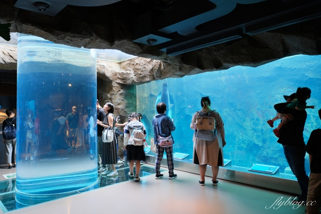 日本北海道|北海道一日遊.旭山動物園、青池、白鬚瀑布,百匯哈密瓜吃到飽 @飛天璇的口袋 日本北海道|北海道一日遊.旭山動物園、青池、白鬚瀑布,百匯哈密瓜吃到飽 @飛天璇的口袋