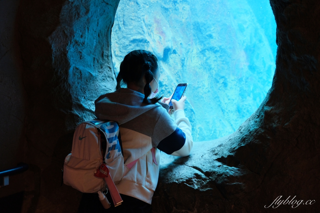 日本北海道|北海道一日遊.旭山動物園、青池、白鬚瀑布,百匯哈密瓜吃到飽 @飛天璇的口袋 日本北海道|北海道一日遊.旭山動物園、青池、白鬚瀑布,百匯哈密瓜吃到飽 @飛天璇的口袋