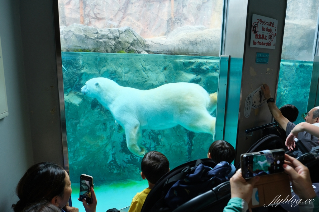 【北海道自由行】不自駕玩北海道5天4夜．札幌、小樽、富良野，夏天賞花冬天賞雪 @飛天璇的口袋