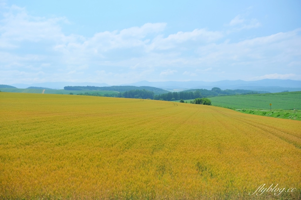 日本北海道|北海道一日遊.旭山動物園、青池、白鬚瀑布,百匯哈密瓜吃到飽 @飛天璇的口袋 日本北海道|北海道一日遊.旭山動物園、青池、白鬚瀑布,百匯哈密瓜吃到飽 @飛天璇的口袋