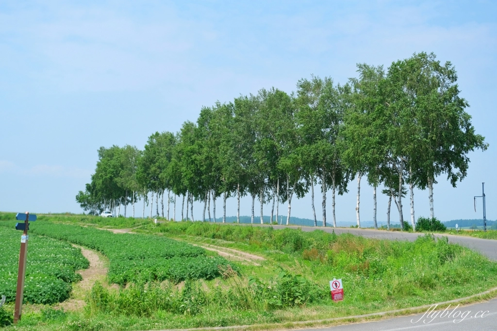 日本北海道|北海道一日遊.旭山動物園、青池、白鬚瀑布,百匯哈密瓜吃到飽 @飛天璇的口袋 日本北海道|北海道一日遊.旭山動物園、青池、白鬚瀑布,百匯哈密瓜吃到飽 @飛天璇的口袋