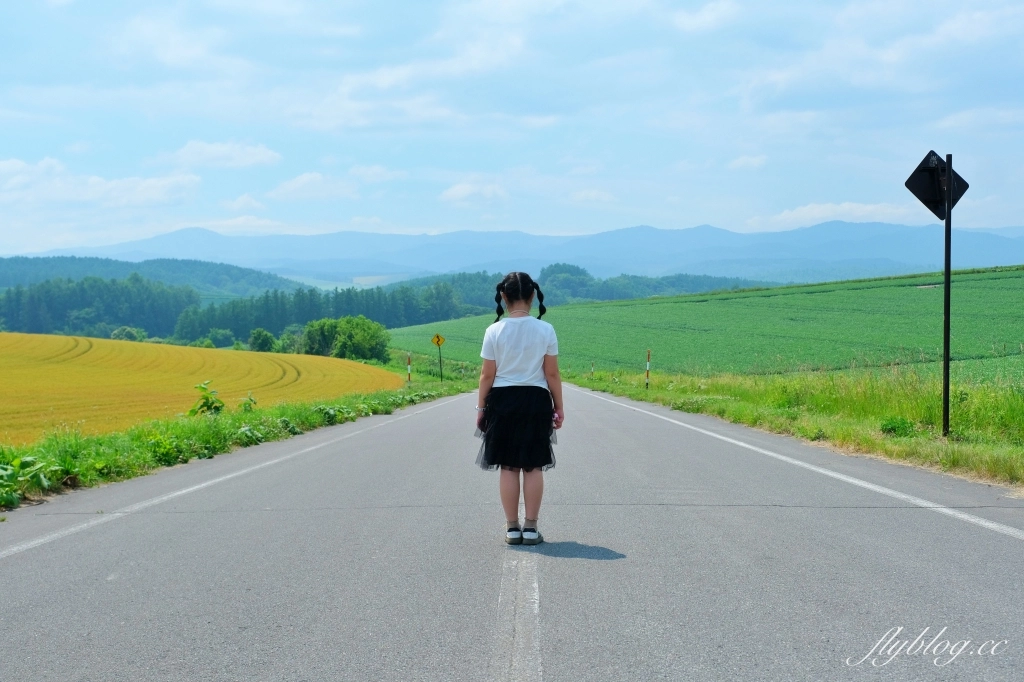 【北海道自由行】不自駕玩北海道5天4夜．札幌、小樽、富良野，夏天賞花冬天賞雪 @飛天璇的口袋