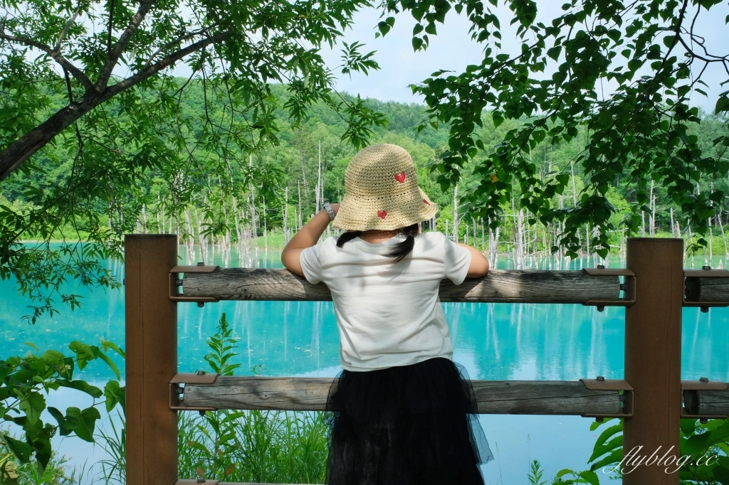 【北海道自由行】不自駕玩北海道5天4夜．札幌、小樽、富良野，夏天賞花冬天賞雪 @飛天璇的口袋