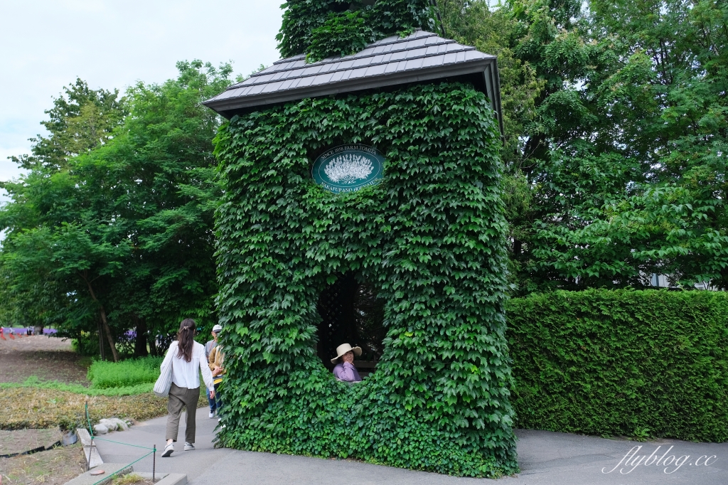 日本北海道｜富田農場．夏季北海道最美景點，富良野賞薰衣草花田(附Mapcode) @飛天璇的口袋