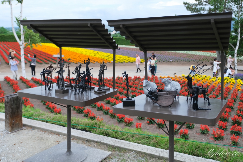 日本北海道｜富田農場．夏季北海道最美景點，富良野賞薰衣草花田(附Mapcode) @飛天璇的口袋