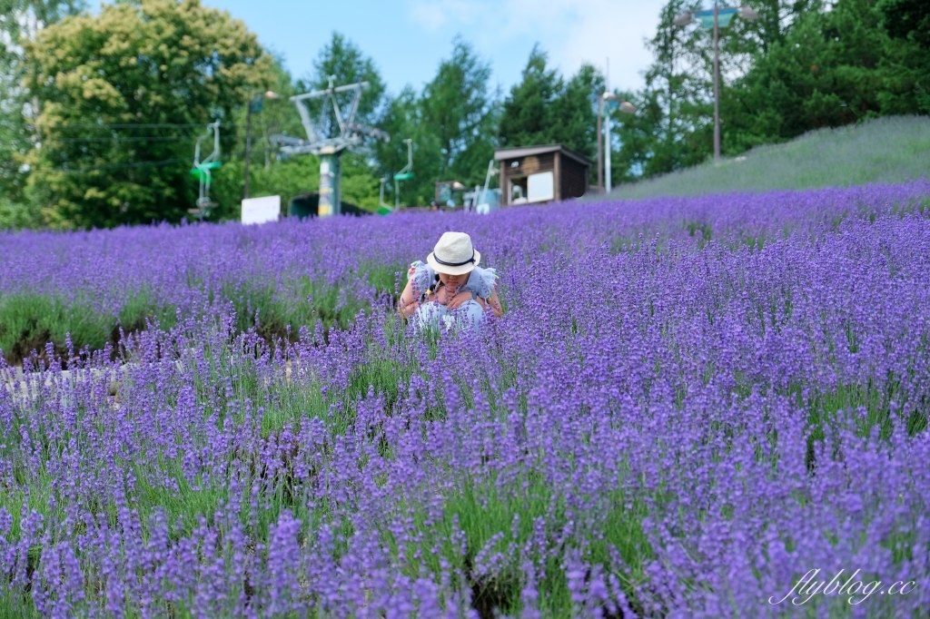 日本北海道｜北星山薰衣草園．坐纜車上山賞薰衣草，坐擁中富良野廣闊景致 @飛天璇的口袋