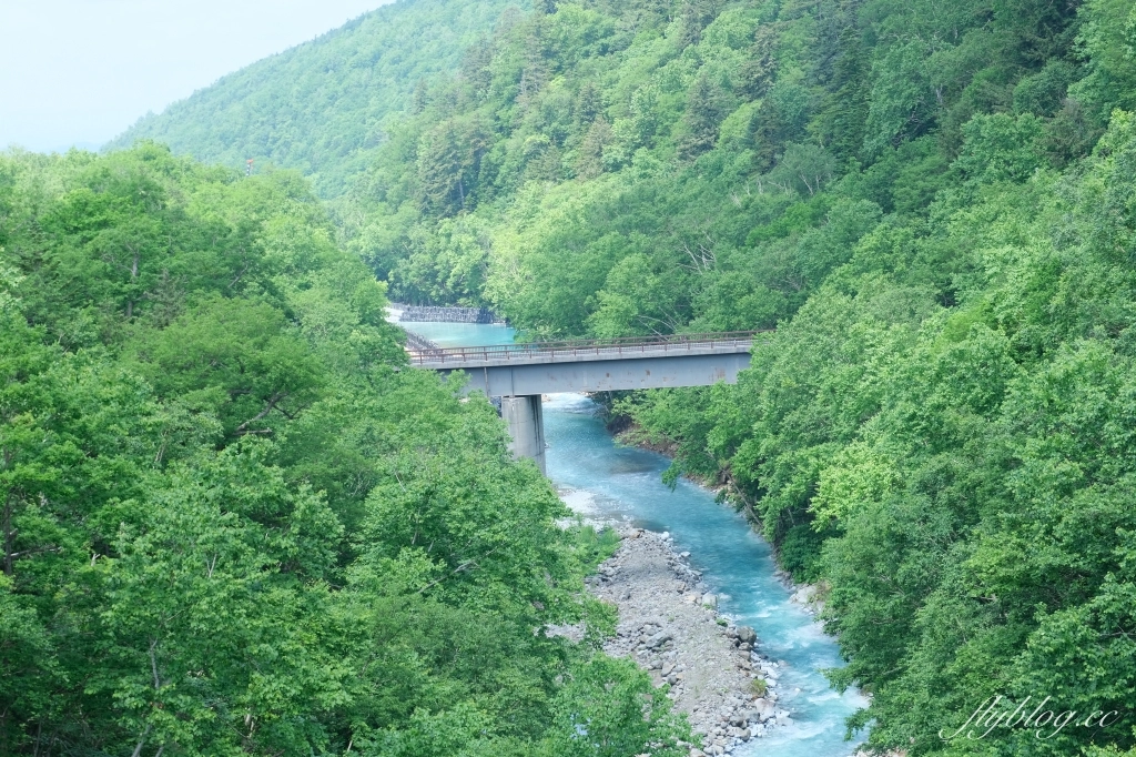 日本北海道|北海道一日遊.旭山動物園、青池、白鬚瀑布,百匯哈密瓜吃到飽 @飛天璇的口袋 日本北海道|北海道一日遊.旭山動物園、青池、白鬚瀑布,百匯哈密瓜吃到飽 @飛天璇的口袋