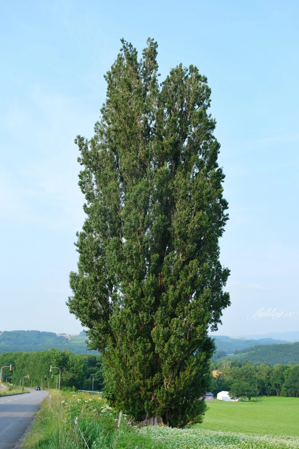 日本北海道|北海道一日遊.旭山動物園、青池、白鬚瀑布,百匯哈密瓜吃到飽 @飛天璇的口袋 日本北海道|北海道一日遊.旭山動物園、青池、白鬚瀑布,百匯哈密瓜吃到飽 @飛天璇的口袋