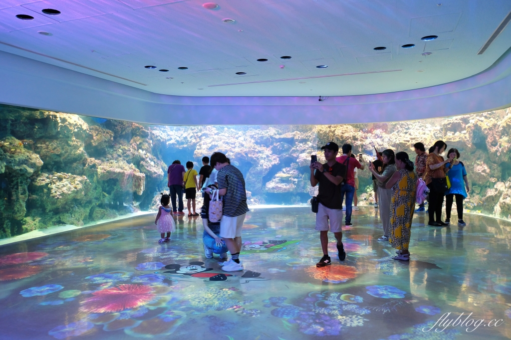 【高鐵假期x彩繪列車】桃園兩天一夜自由行，卡娜赫拉的小動物彩繪列車，Xpark水族館、高鐵探索館、城市商旅航空館 @飛天璇的口袋