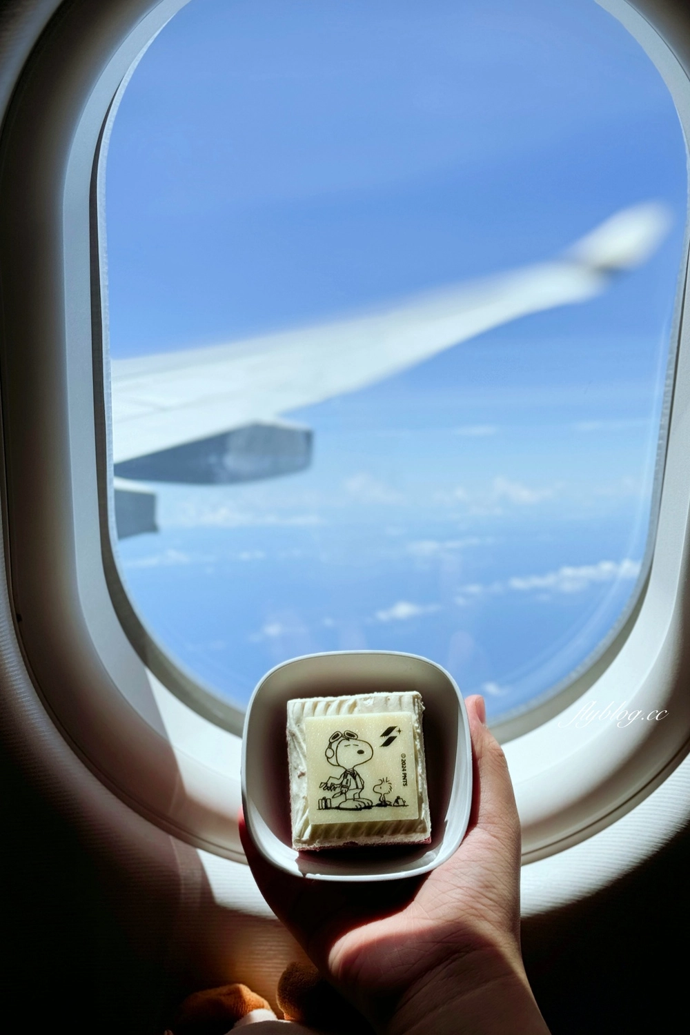 日本北海道｜星宇航空 JX850 台北&ndash;札幌 空中巴士A330-900，可愛的史努比主題飛機 @飛天璇的口袋